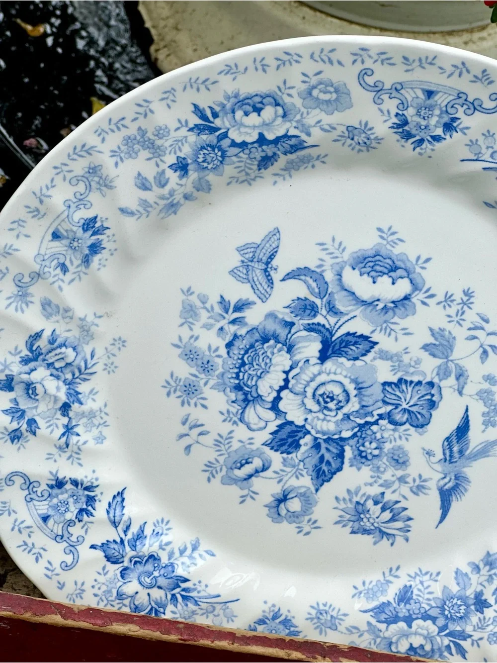 Queens Oriental Garden 10 inch Dinner Plate Blue White Transferware England